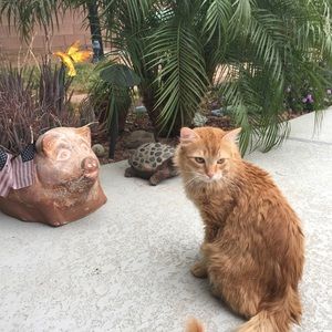 Meet your Posher, Michele